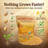 5lb Package Farmer Bob's Organic Soybeans Dry - USA Grown for Soy Milk, Tofu, Edamame - High Protein - Non-GMO