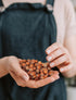 1 lb, Filberts, Oregon Large Hazelnuts in Shell, Whole Raw Kosher, Non-GMO, Fresh Buttery Taste, Easy to Crack in Bag