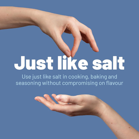 (350g) Pack 2 Lo Salt Reduced Sodium Salt
