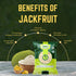 SAAPIDO (1lbs) 100% Green Jackfruit Flour | Natural & Gluten-Free | High Fiber & Protein | Paleo & Keto Friendly