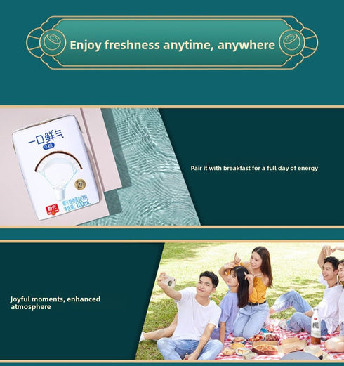 100ml 5 Pack Coconut Juice x Fresh from Hainan ChunGuang Food Natural Sweet Taste No Preservatives Healthy Drink