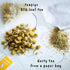 teapigs Chamomile Flowers, Whole Flowers, 15 Count