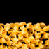 17.6 oz Sanniti Artisanal Gluten Free Riccioli Pasta di Gragnano, Imported from Italy, Bronze Cut Corn Pasta, Certified
