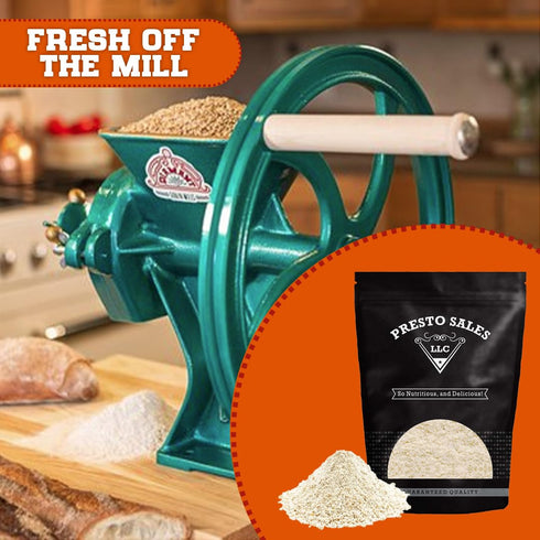 Packed 1 lb. (16oz) Cashew Fresh Raw Flour, All Natural, in Resealable Bag, Kind to your Body, High in Protein, Almond