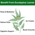 4oz/114g FullChea - Dried Eucalyptus Leaves - - Hojas de Eucalipto - Premium Chinese Dried Eucalyptus Herb Whole Leaf