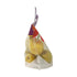 Fresh Produce 32 Organic Pear Bartlett Bag, Ounce