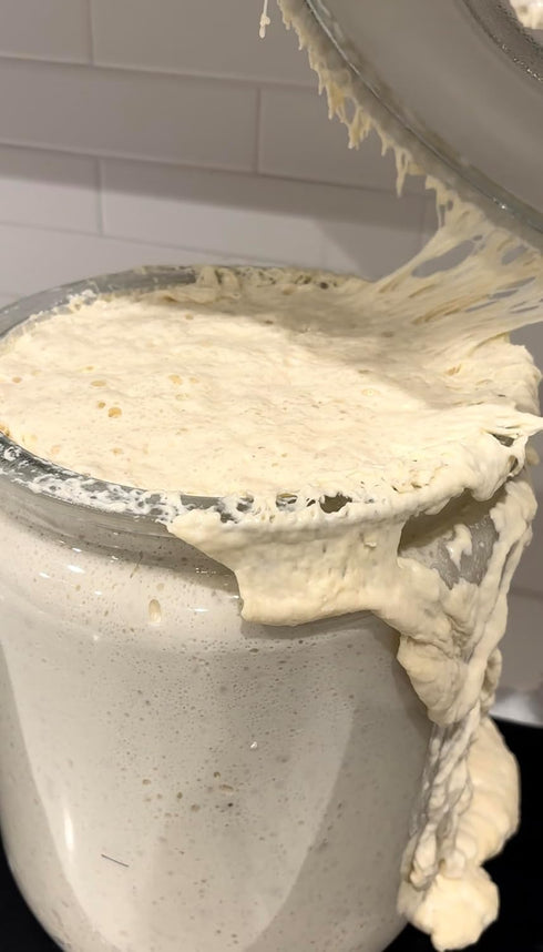 5g Dehydrated Sourdough Starter by Made With Loave | INCLUDES Recipe | Beginner Friendly | As Seen On TikTok |