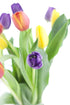 10 KaBloom - Assorted Tulips without vase - Fresh Flowers for Birthday, Valentine's & Mother's Day