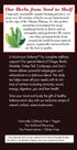 6 20 6 count Bravo Tea Mushroom Defense Herbal Tea, Caffeine Free Tea Bags