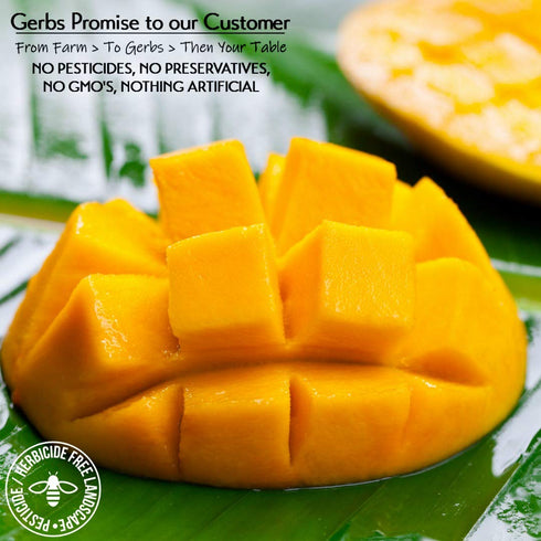2 lbs. 14 Gerbs Lightly Sweetened Dried Mango Cubes | Unsulfured, No Artificial Additives, Resealable Bag | Naturally