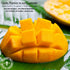 2 lbs. 14 Gerbs Lightly Sweetened Dried Mango Cubes | Unsulfured, No Artificial Additives, Resealable Bag | Naturally