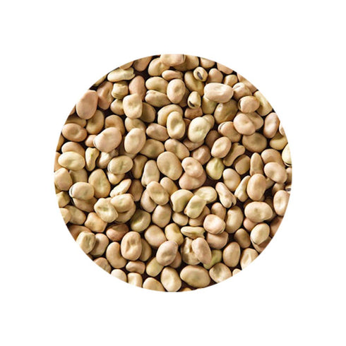 2 Lbs (907g) Eastern Feast - Dry Foul (Fava Mini)