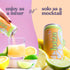 (Pack 12) Pack Lotza Sparkling Non-Alcoholic Adaptogen Drink with Electrolytes | Non-Alcoholic Mocktail & Drink Mixer|