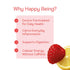 12oz (4 Pack) Happy Being Raspberry Lemon Sparkling White Tea Antioxidant & Polyphenol Rich, Infused with Turmeric