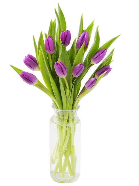 KaBloom Flowers -Valentine's Day Collection - 10 Purple Tulips with vase, Gift
