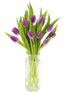 KaBloom Flowers -Valentine's Day Collection - 10 Purple Tulips with vase, Gift