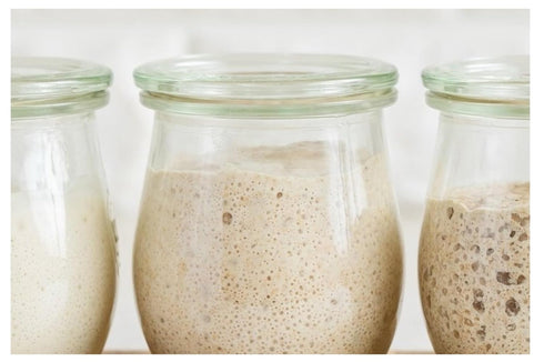 Positively Probiotic San Francisco | Sourdough Starter Culture | 5 Pack