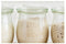 Positively Probiotic Ethiopian Teff Sourdough Starter Culture (4)