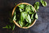 5oz Here's Organic Premium Basil Leaves Rubbed (Dried) - USDA Certified Organic | NON-GMO | Gluten Free | Kosher