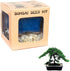 Eve's Garden, Inc Eve's Dwarf Japanese Juniper Bonsai Seed Kit, Woody, Complete Kit to Grow