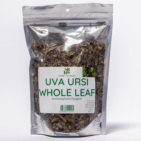 Herb To Body Uva Ursi Herb Leaves Whole - 4oz, Wildcrafted Arctostaphylos