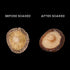 8 Oz Orsky Dried Shiitake Mushrooms, Dried Mushrooms for Cooking, Quick Rehydration, Smooth Taste, Fresh and Tender