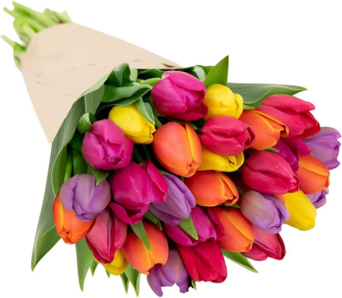 30 Stargazer Barn Stem Rainbow Tulips Bouquet - Fresh Cut Flower Delivery, Hand-Tied in the USA, Gift for Birthday
