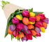 30 Stargazer Barn Stem Rainbow Tulips Bouquet - Fresh Cut Flower Delivery, Hand-Tied in the USA, Gift for Birthday
