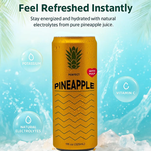 12 144 11.1 Oz Knashi Natural Essence Pineapple Juice W/Pulp - Can Rich In Vitamin C For Refreshment - Each W/ Calories