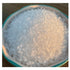 5oz 90 Baja Sea Salt | Organic Coarse Glass Shaker | Hydration Low Sodium Recovery - Over Minerals and Electrolytes