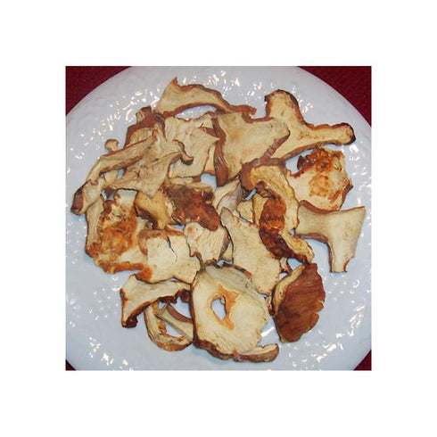 Oregon Mushrooms Lobster Mushrooms 4 oz