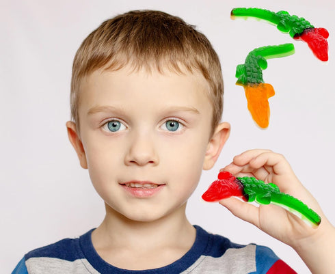 Gummy Gummies (4.4 Fruidles Crocodiles Candy, Delicious Multicolor Fruit Flavors Pounds)