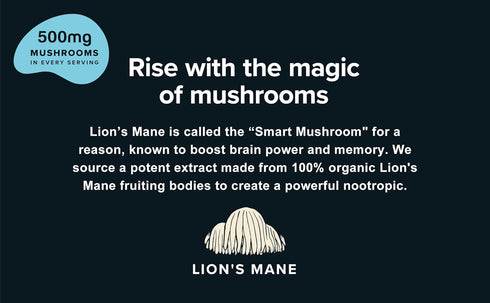 Pack (8 Pack) Mushroom Overnight Oats Variety Superfood Lions Mane Mushroom, Chia & Flax Seed - Organic Protein Oatmeal