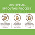 (10 oz (1 Pack)) Lark Ellen Farm Sprouted Organic Certifed Walnuts Unsalted - Non GMO, Keto Snacks, Paleo, Gluten Free