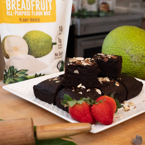 9g 24 Oz Amasar | All-Purpose Breadfruit Baking Mix | Gluten Free Made with Breadfruit & Cassava Flour | Plant Based