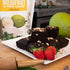 9g 24 Oz Amasar | All-Purpose Breadfruit Baking Mix | Gluten Free Made with Breadfruit & Cassava Flour | Plant Based
