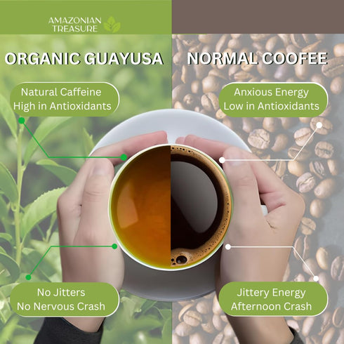 16 OZ (1LB), 60 Amazonian Treasure Organic Guayusa Loose Leaf Tea, Smooth Energy Boost, Alternative to Coffee & Yerba