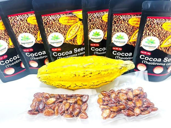 Ceylonwood Herbals 50 Pack Organic Cocoa Seeds, Cacao Seeds, Theobroma cacao Seeds