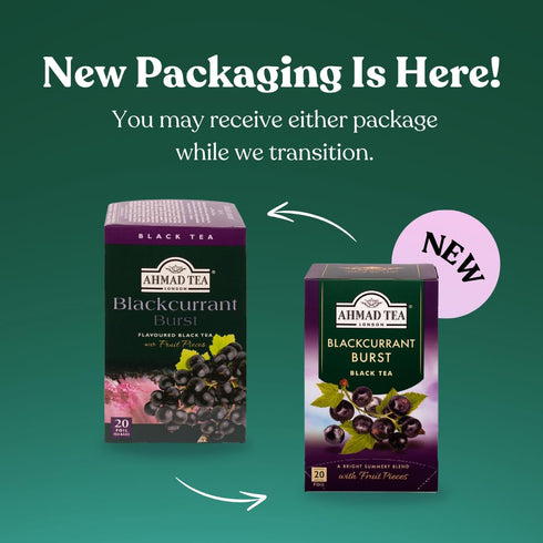 20 Count (Pack 6) Ahmad Tea Blackcurrant Burst