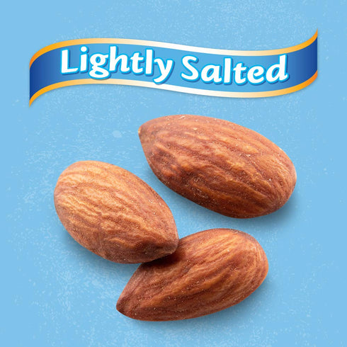 16 Oz (Pack 1) Blue Diamond Almonds Low Sodium Lightly Salted Snack Nuts, Resealable Bag