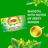 120 (20ct Pack 6) Lipton Honey Ginger Green Tea Bags, Flavored, Unsweetened Teabags for Hot Tea or Iced Tea