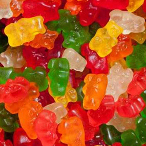 The Nutty Fruit House Gummy (2 (Pack 1)) 16 Sugar Free Bear Pound of Ounce