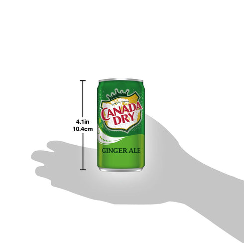 WEST END FOODS LANCASTER, PA WSNE 7.5 oz Pack, 12 Count Ginger Ale Mini Soda Cans, Soft Drinks Bulk Snacks Small