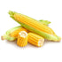 Tropical Importers Authentic Maiz Criollo Cubano (5 lb) - Fresh Cuban Field Corn Mazorca