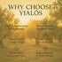 2025 100% 500 mL Yials Extra Virgin Olive Oil Greek Single Estate, NYIOOC Winner | Koroneiki, Small Batch, Cold