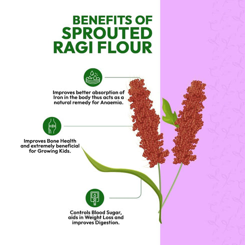 Generic 17.63oz 500gm 100% 0.5 Sprouted Ragi Flour (Madua/Nachni aata)| Natural | Fibre, Protein and Iron Rich |