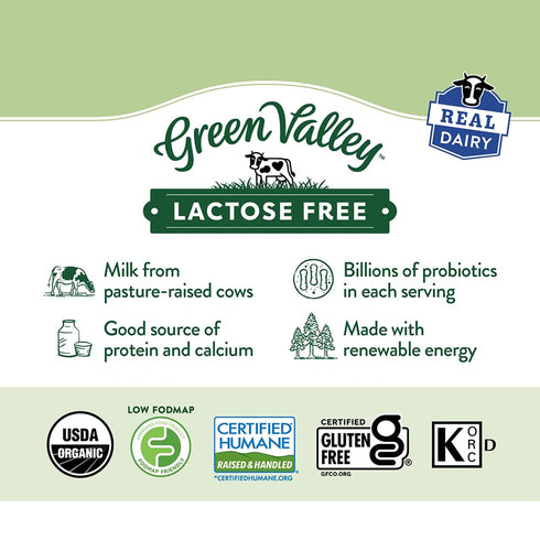 Green Valley Creamery 24 Green Valley Lactose Free Organic Lowfat Plain Yogurt, Ounce