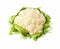 Fresh Nation Farmers Market Locally Grown Cauliflower, Organic, 1 item