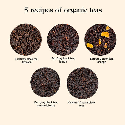5 5 0,9 oz Kusmi Tea - Organic Black Tea Variety Box + Tea Infuser - Gift Idea for Men and Women - Flavoured Black Tea
