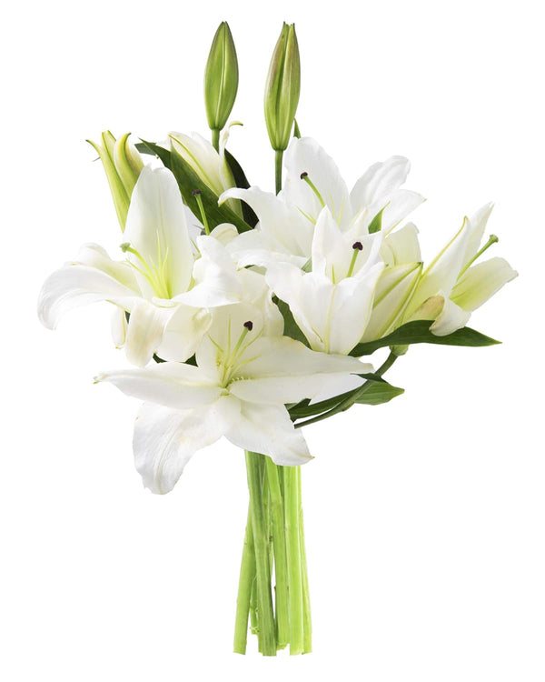 KaBloom PRIME NEXT DAY DELIVERY - Mothers Day Collection - Pure Love